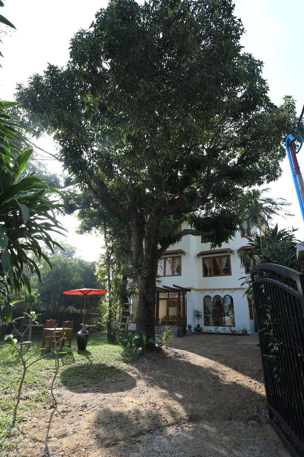 Mango Hill Inn Yangon Eksteriør bilde