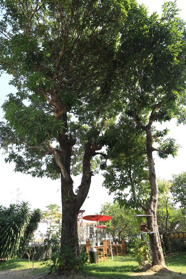 Mango Hill Inn Yangon Eksteriør bilde