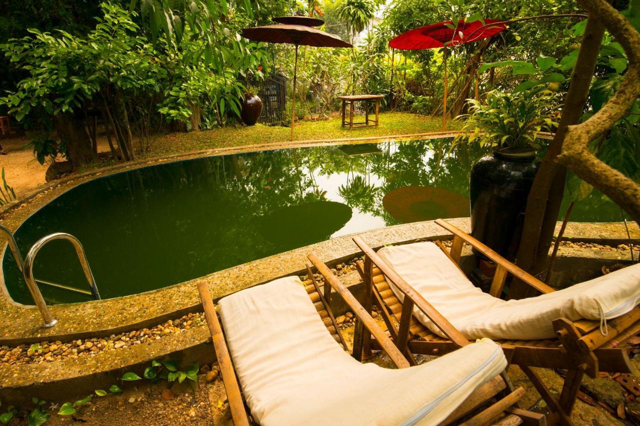 Mango Hill Inn Yangon Eksteriør bilde